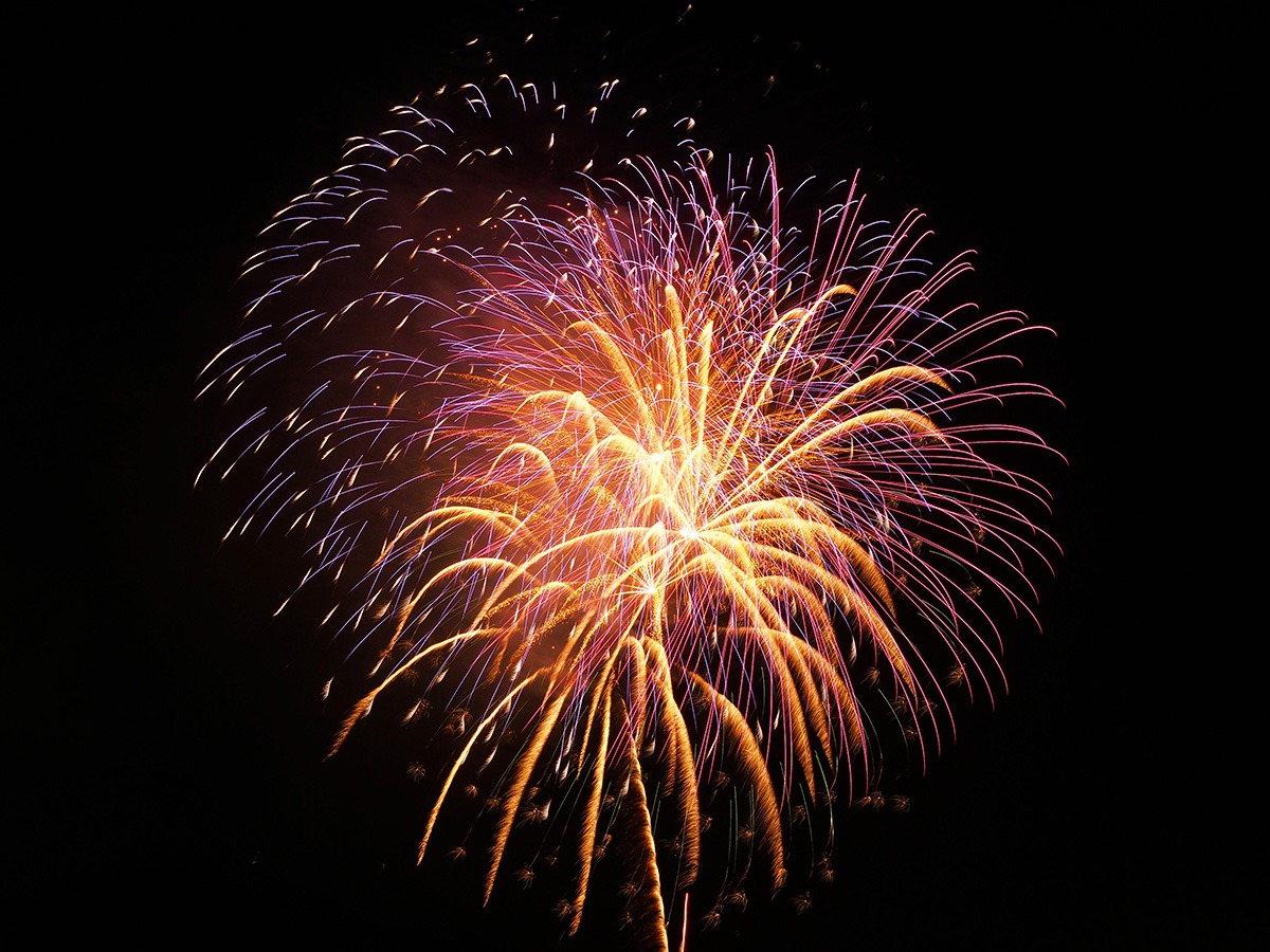 에히메 축제-문화 이벤트-와레이 다이사이 우와지마 우시오니 마츠리