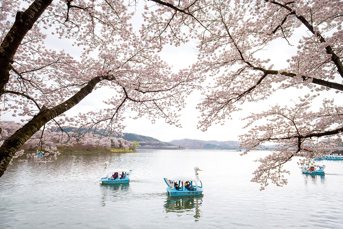 Lac Bomun, Gyeongju