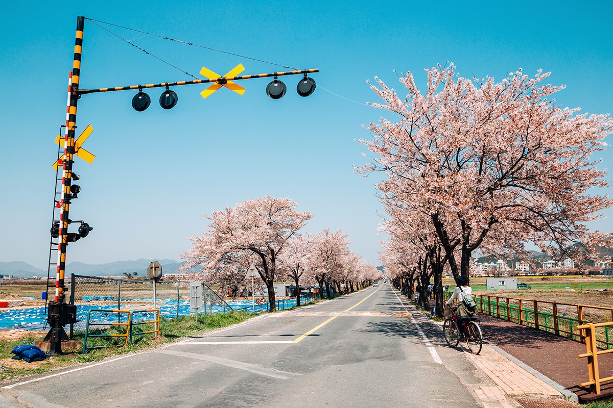 Straßen- und Eisenbahnschranke, Gyeongju