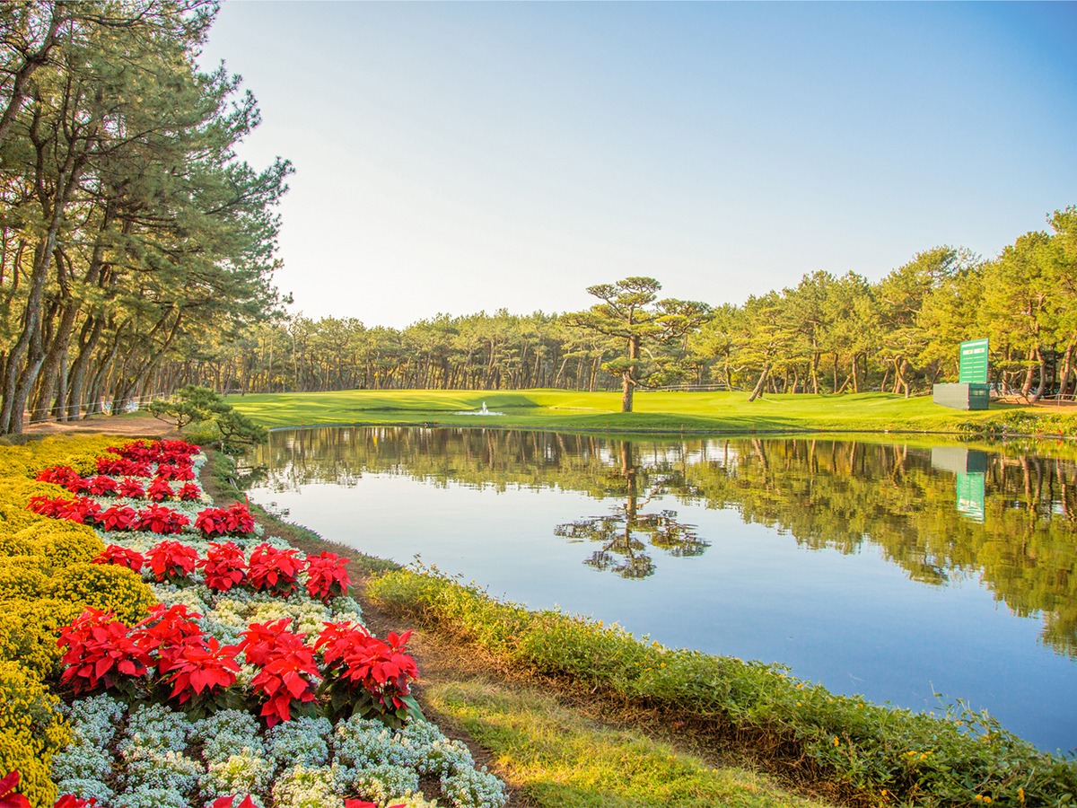 Aoshima's Hidden Japanese Garden - Miyazaki - Japan Travel