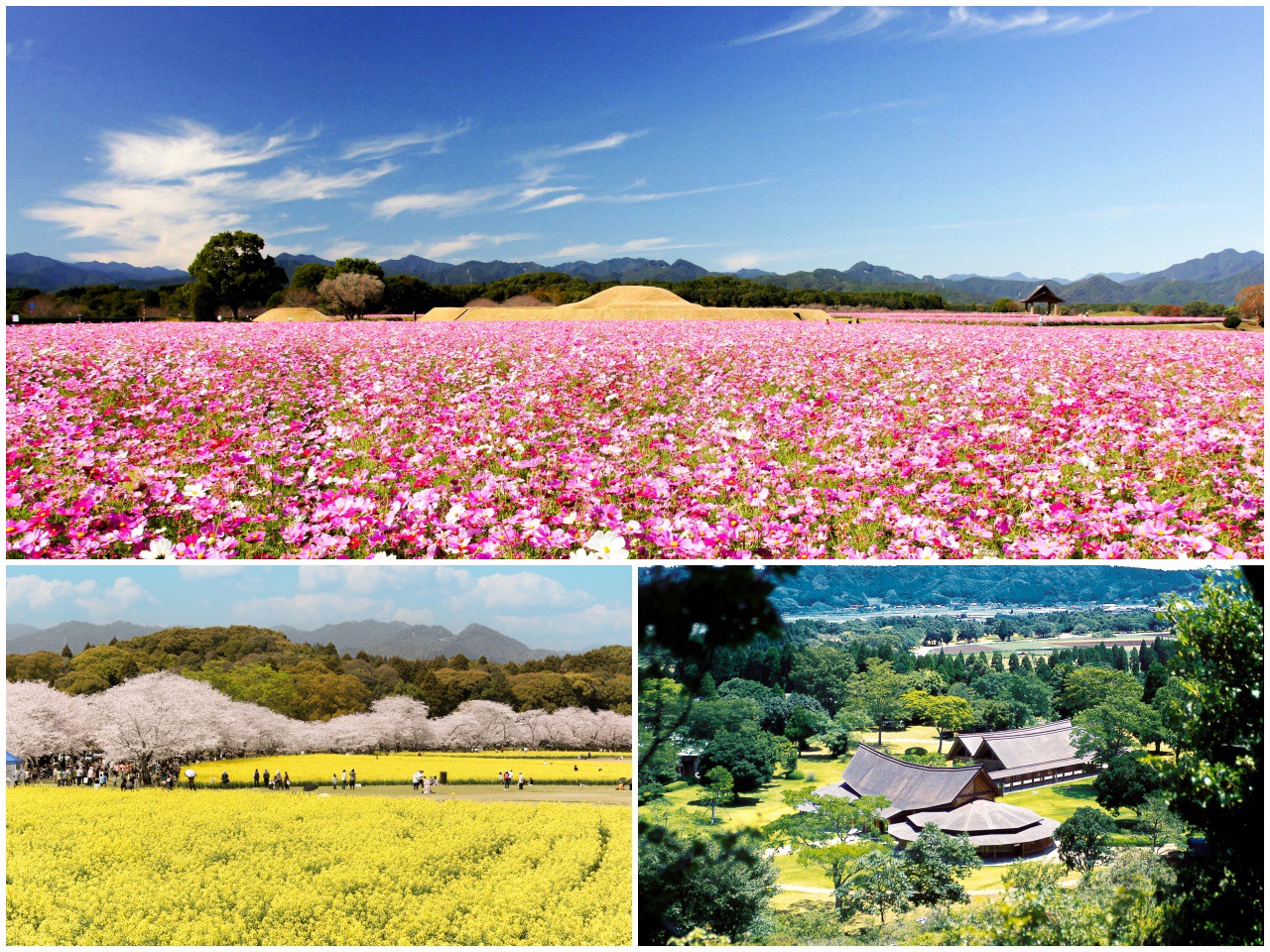 Miyazaki attractions-things to do-activities-Saitobaru Burial Mounds