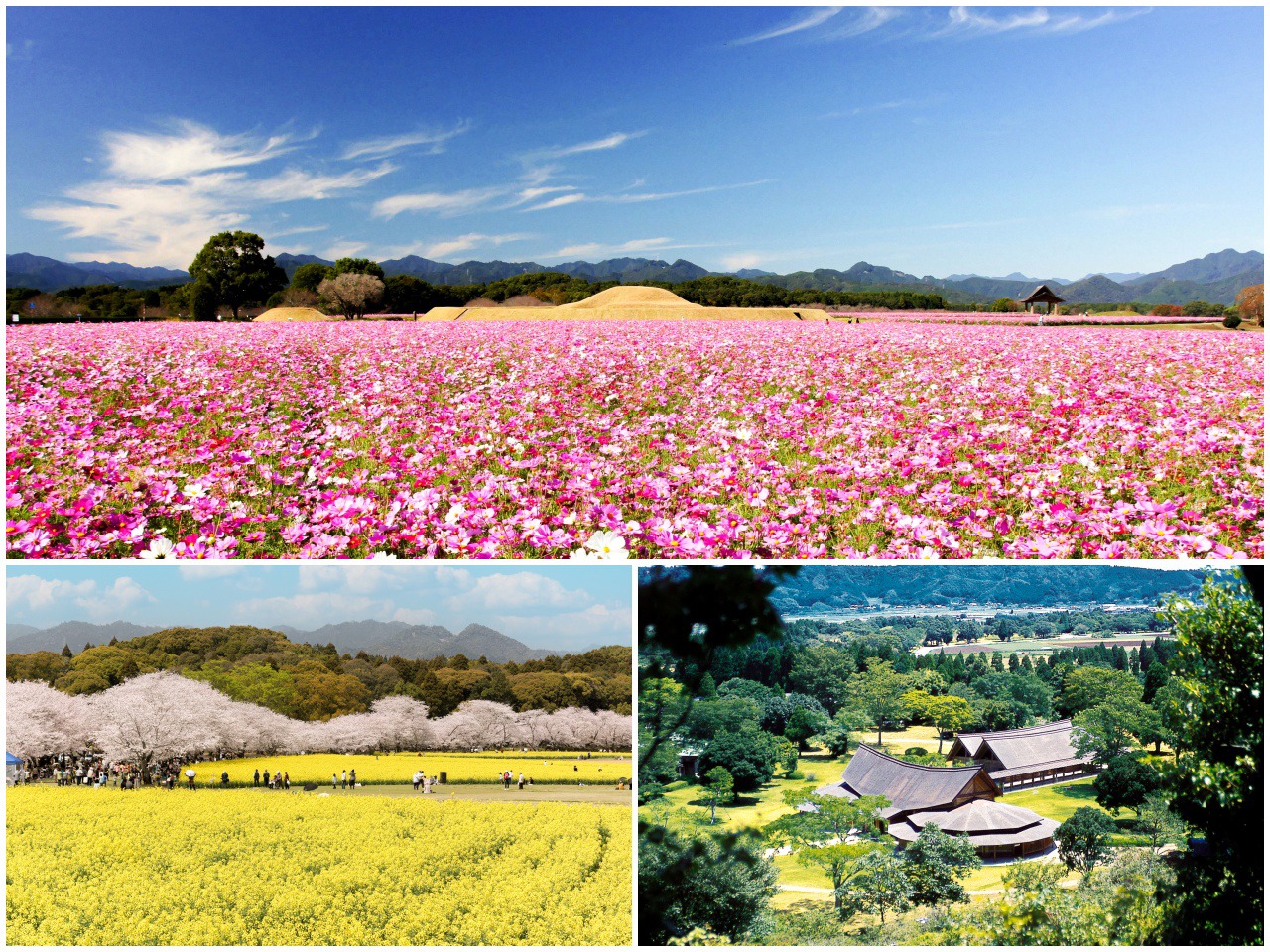  Saitobaru Burial Mounds 