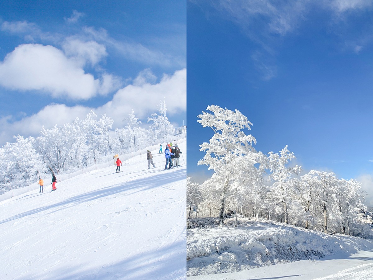 Miyazaki sports-golf courses-tourism-Skiing