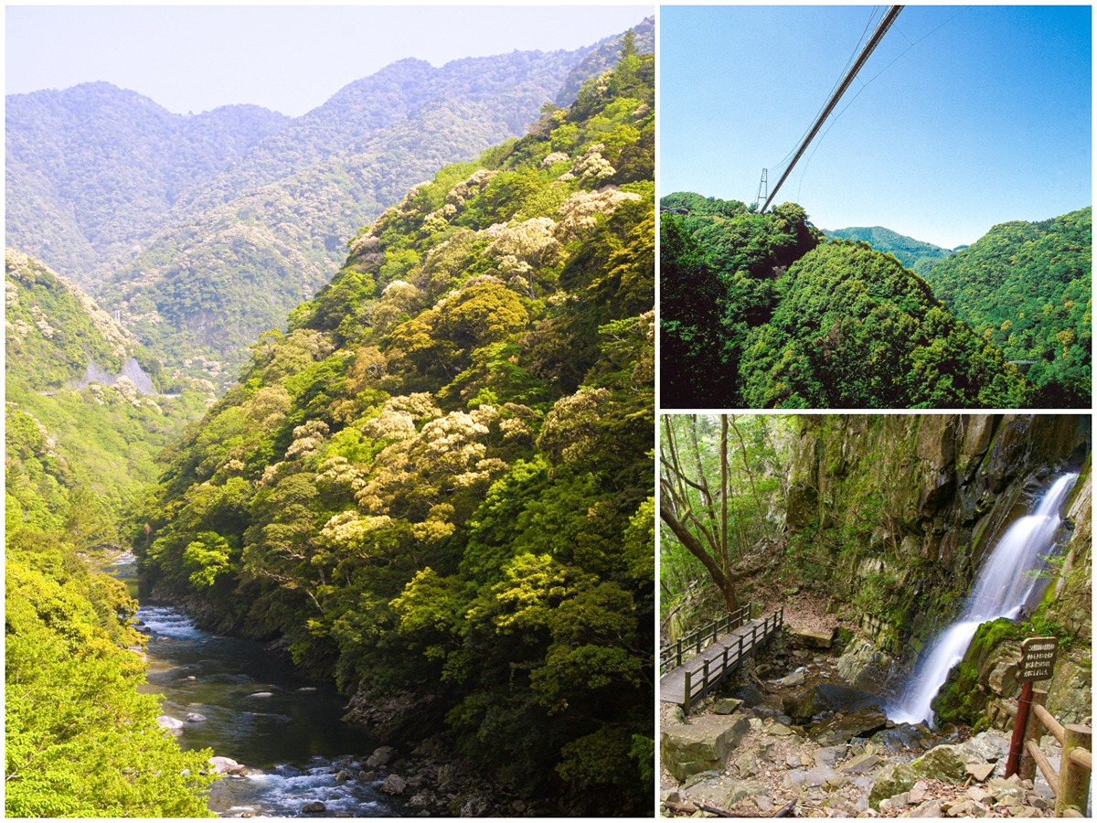 Miyazaki nature-outdoor activities-hiking trails-UNESCO Eco Park