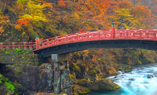 日光人气景点 | 栃木县鬼怒川温泉 & 清酒品鉴之旅