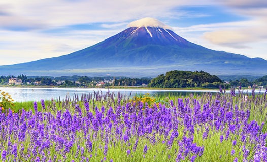 Best Fujikawaguchiko Hotels | Hot Springs Resorts w/ Views of Mount Fuji