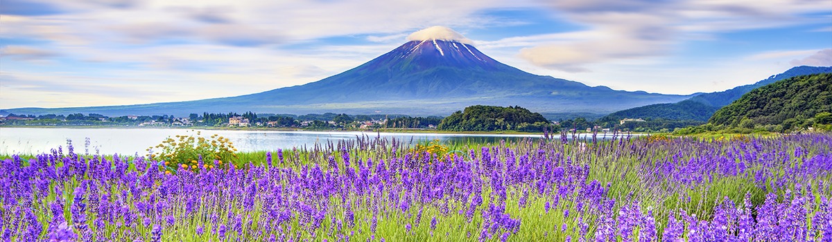 Best Fujikawaguchiko Hotels | Hot Springs Resorts w/ Views of Mount Fuji