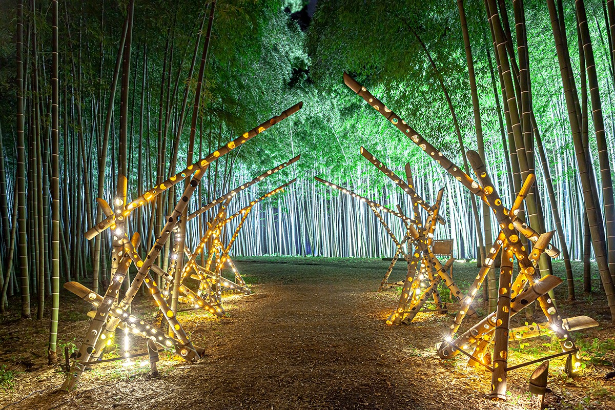 Things to do in Tochigi-activities-attractions-Four Seasons Bamboo Forest Wakayama Farm