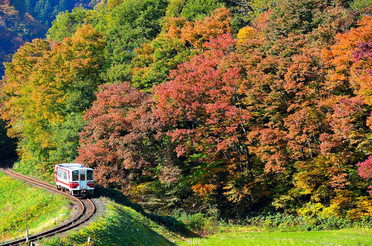 Tohoku by train-sightseeing tours-northern Japan-Smile Rail Akita Nairiku Line
