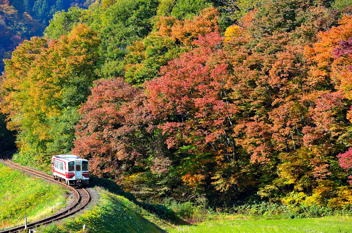 tohoku tours