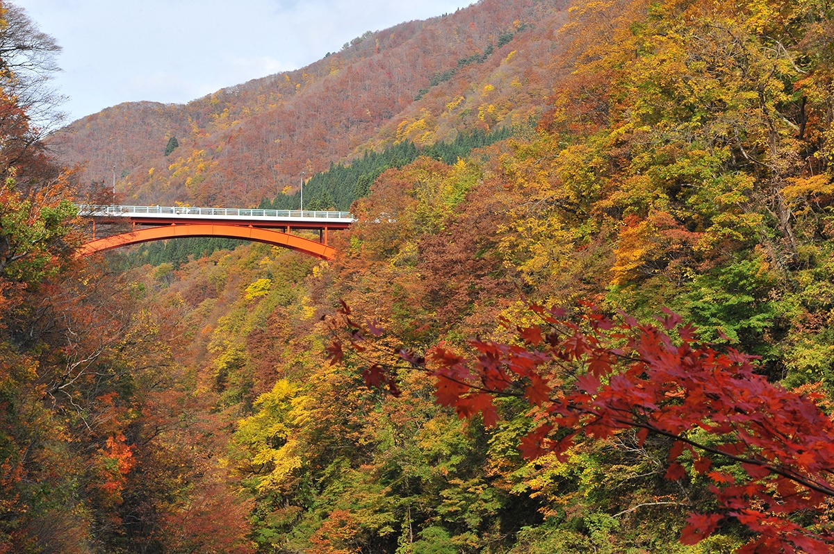 Best Spots to See Autumn Leaves in Tohoku-fall foliage tours in Japan-Oyasukyo Daifunto - Akita Prefecture