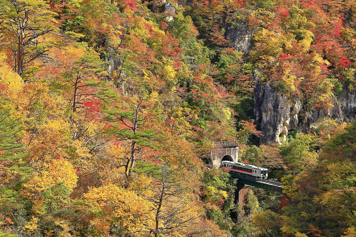 Tohoku by train-sightseeing tours-northern Japan-JR Rikuuto Line