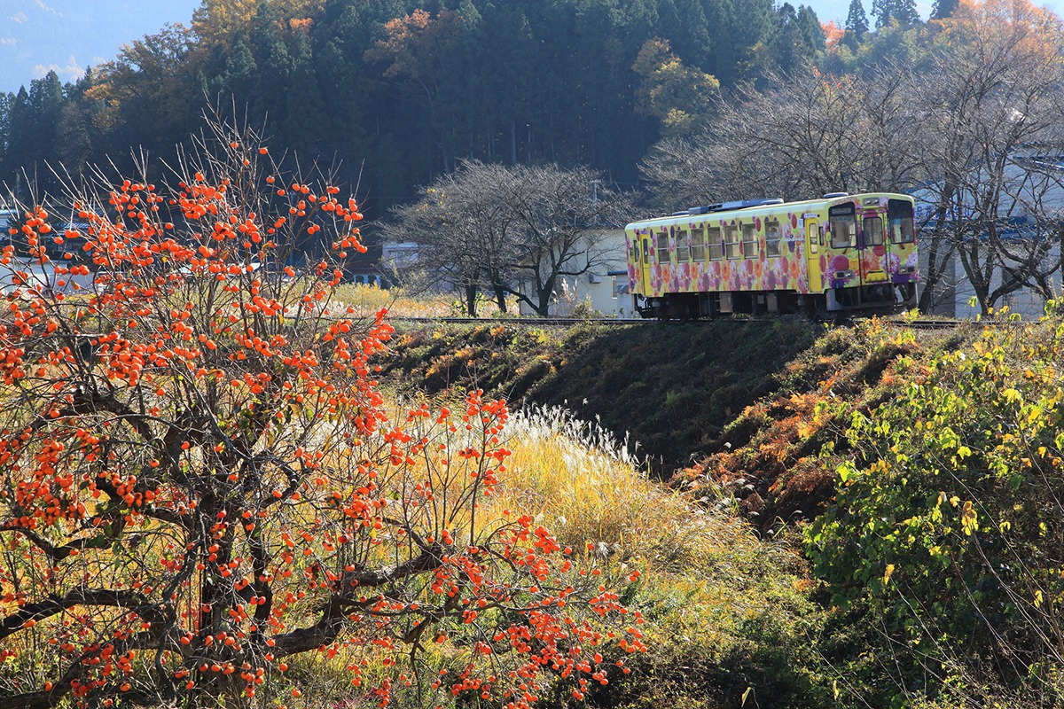 Yamagata Eisenbahn Blume Nagai Linie, Japan