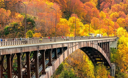 Best Spots to See Autumn Leaves in Tohoku | Fall Foliage Tours in Japan