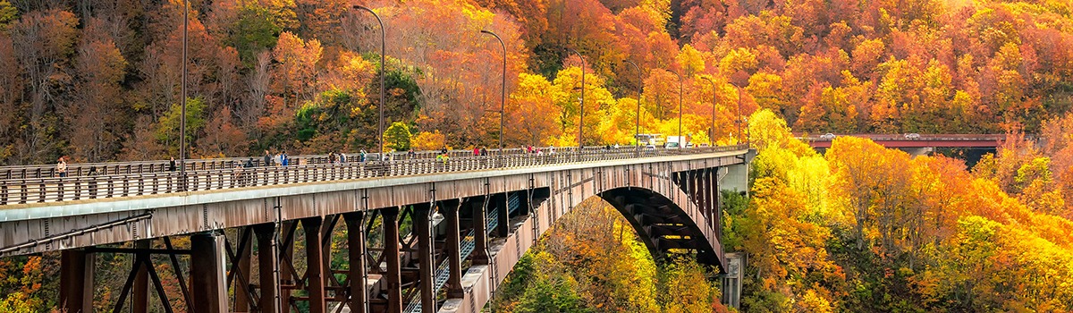 Best Spots to See Autumn Leaves in Tohoku | Fall Foliage Tours in Japan