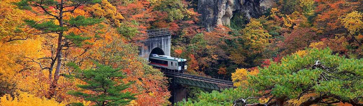 Explore Tohoku by Train | 8 Unique Sightseeing Tours in Northern Japan background image