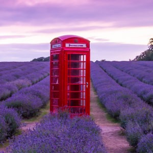 VisitBritain, Great Britain