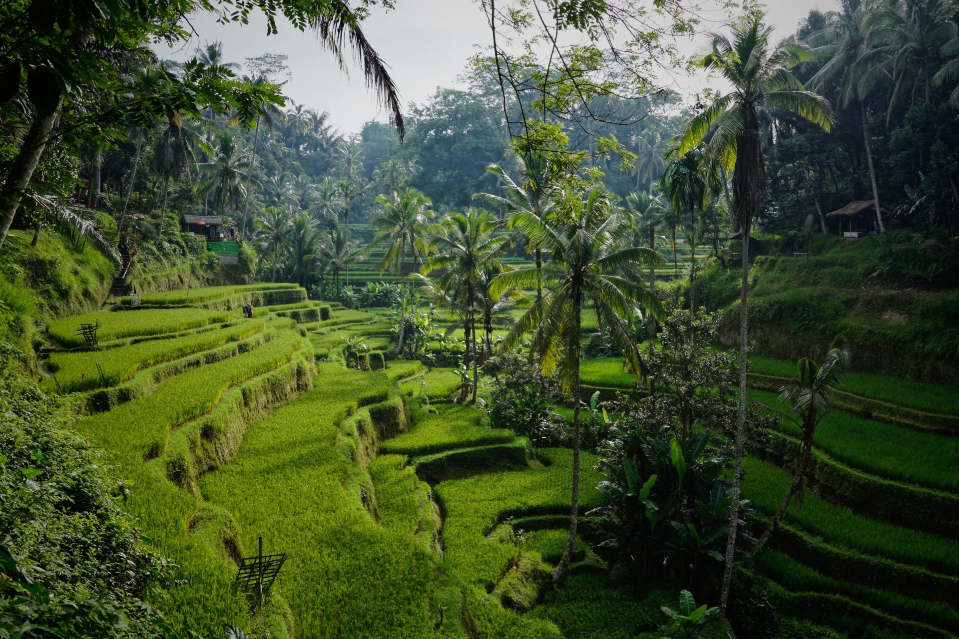 Bali Indonesia