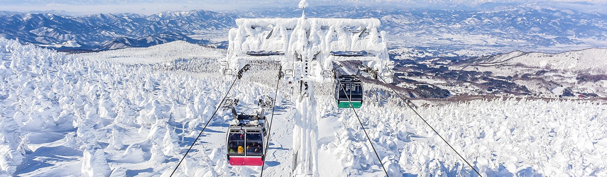 Tohoku Winter Sightseeing and Activities | Things to Do in Northern Japan