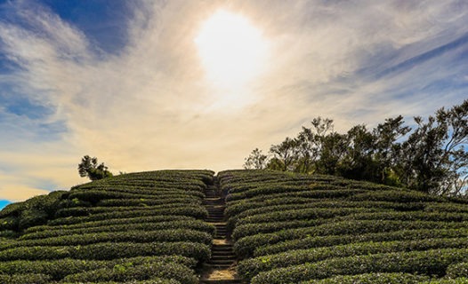 8 Newest & Best Homestays in Chiayi | Find Super Hosts in Taiwan