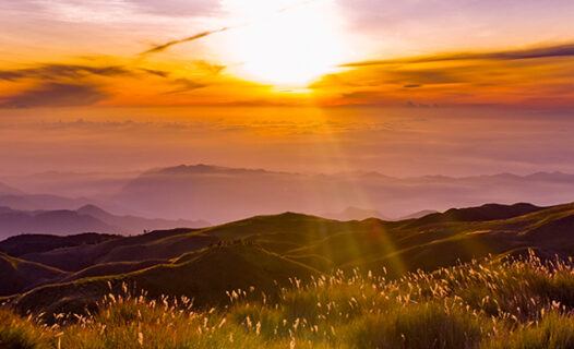 Visit Davao – A Natural Splendor in the Philippines
