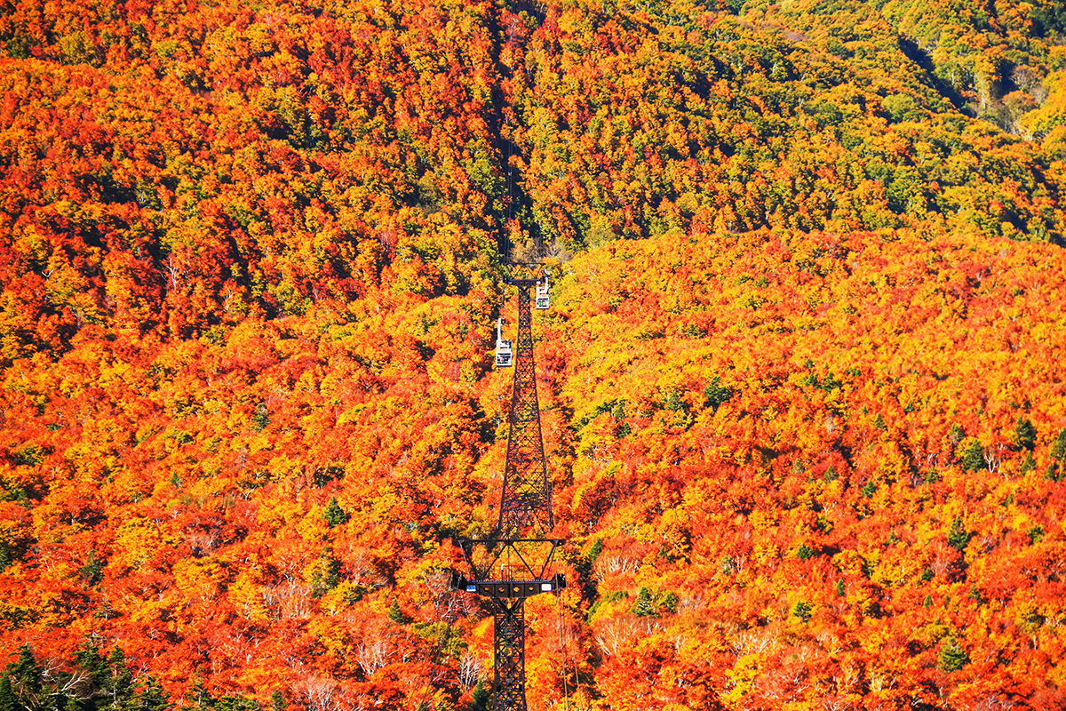 Best fall Photography Spots in Tohoku-Hakkoda Ropeway