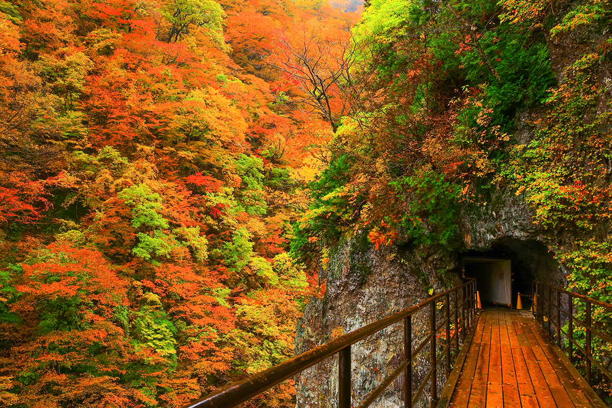Best fall Photography Spots in Tohoku-Dakigaeri Valley