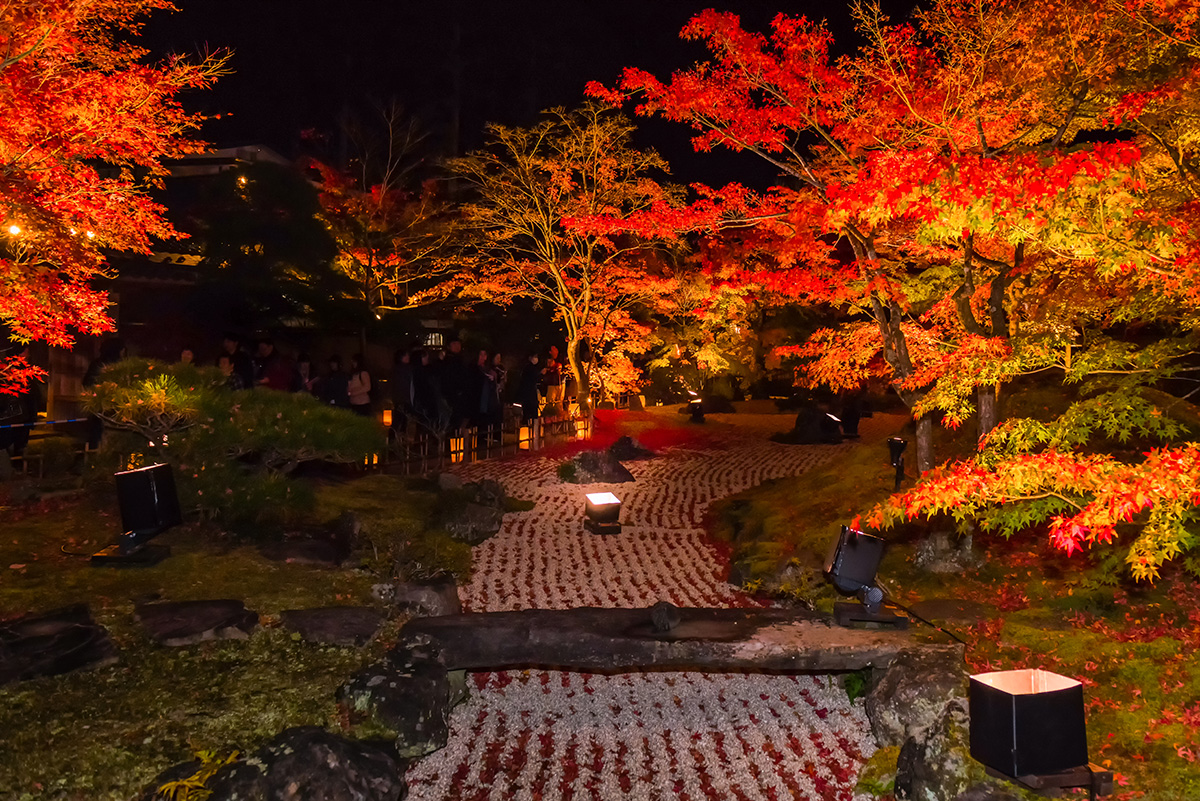 Best Photography Spots in the Tohoku-Entsuin Temple