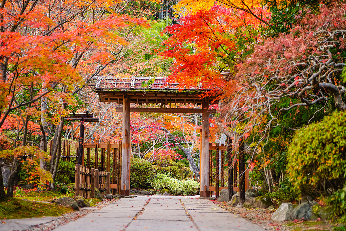 Best Photography Spots in the Tohoku-Entsuin Temple