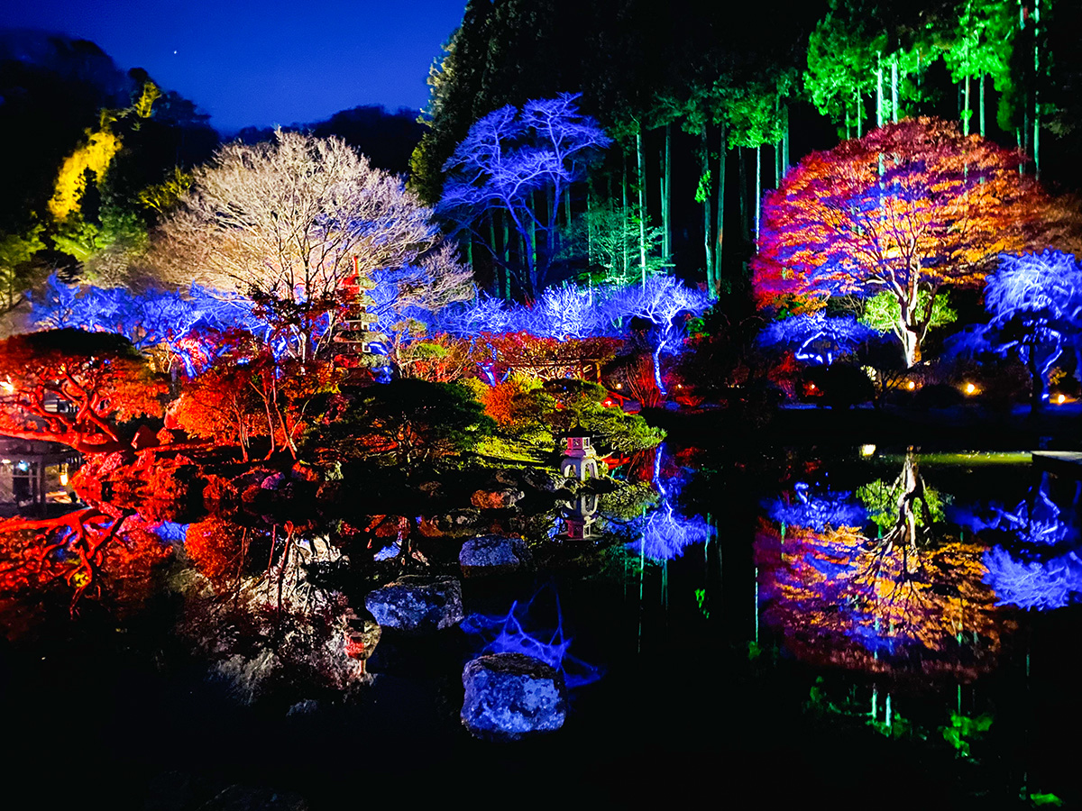 Best Photography Spots in the Tohoku-Akiu Night Museum