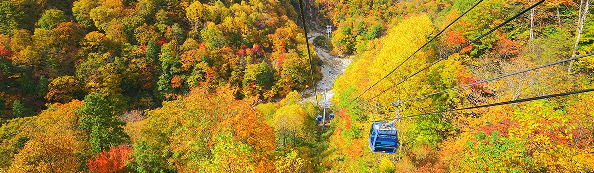 4-Day Itinerary: The Best Autumn Foliage in Tohoku