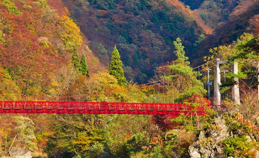 Fall Photography Spots in Tohoku Region | Places for Autumn Sightseeing