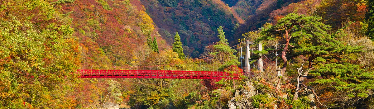 Fall Photography Spots in Tohoku Region | Places for Autumn Sightseeing background image