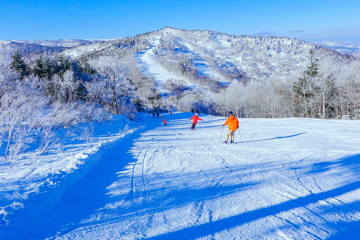Appi-Kogen-Ski-Resort-winter sightseeing spots in Tohoku