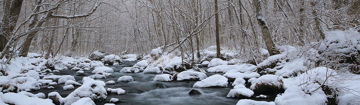 Winter Sightseeing Spots in Tohoku | Capture Postcard-Perfect Shots!