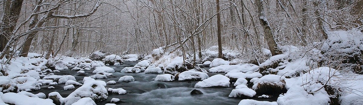Winter Sightseeing Spots in Tohoku | Capture Postcard-Perfect Shots! background image