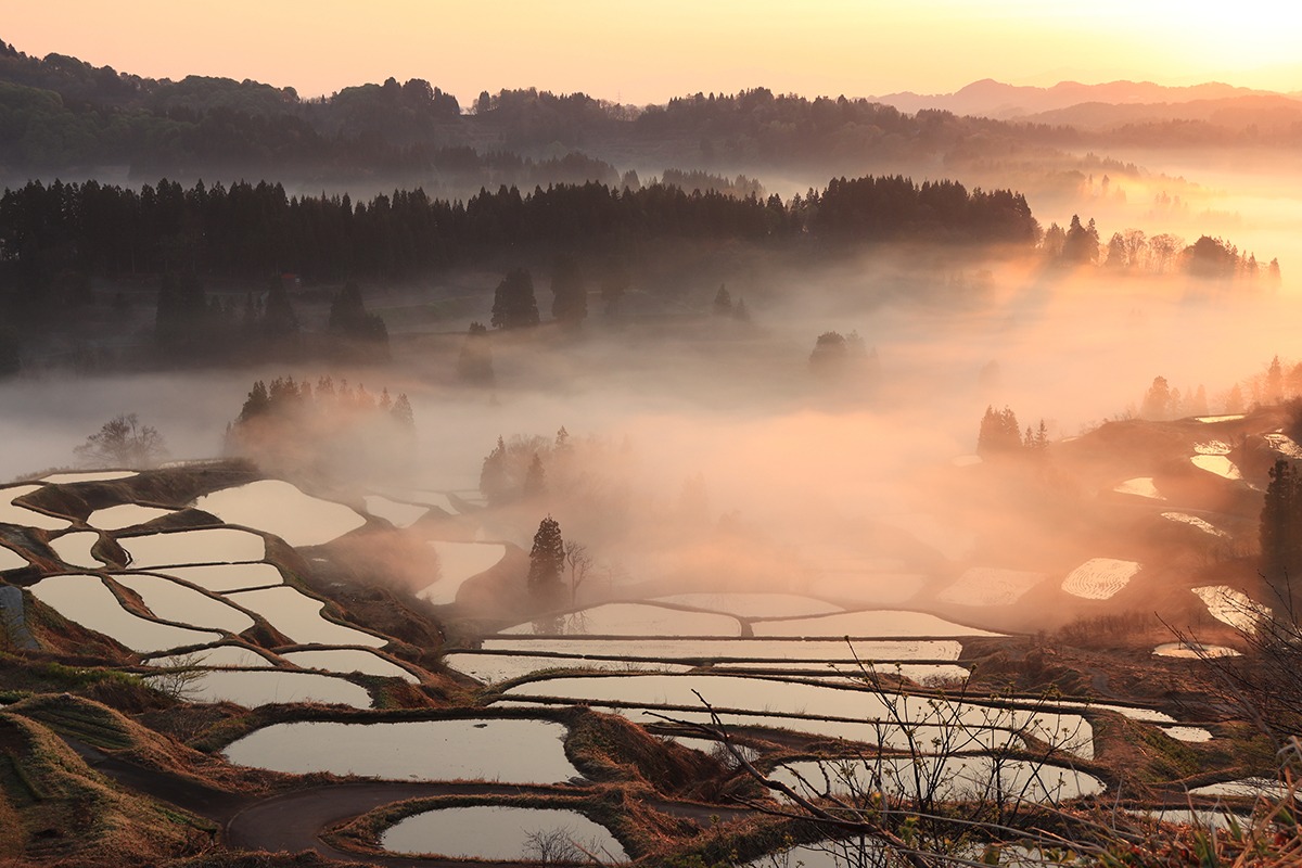 Hoshitouge-Terraced-Rice-Field