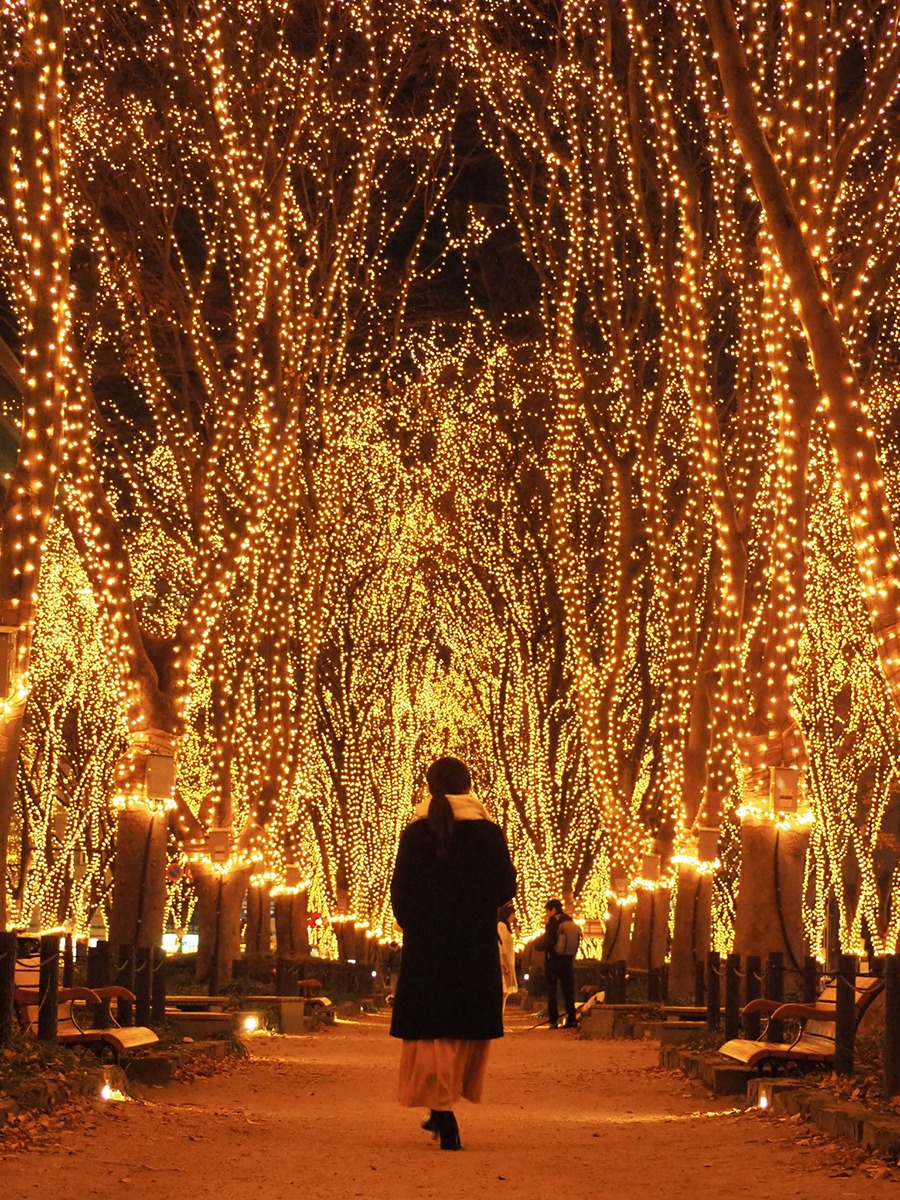 Sendai Pageant of Light 