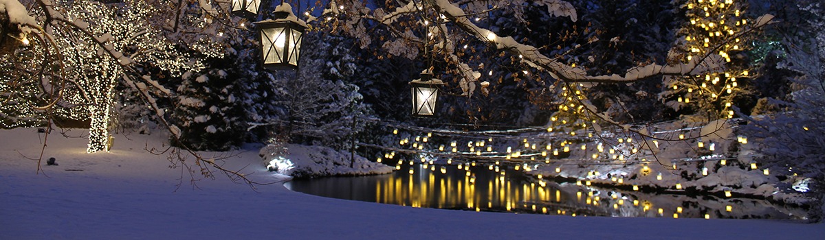 3-Day Itinerary: Enjoy the Magnificent Winter Scenery in Tohoku background image