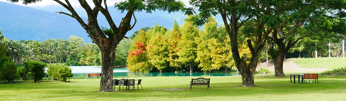 Minsu Stays in Hualien County – Top Accommodations and Things to Do