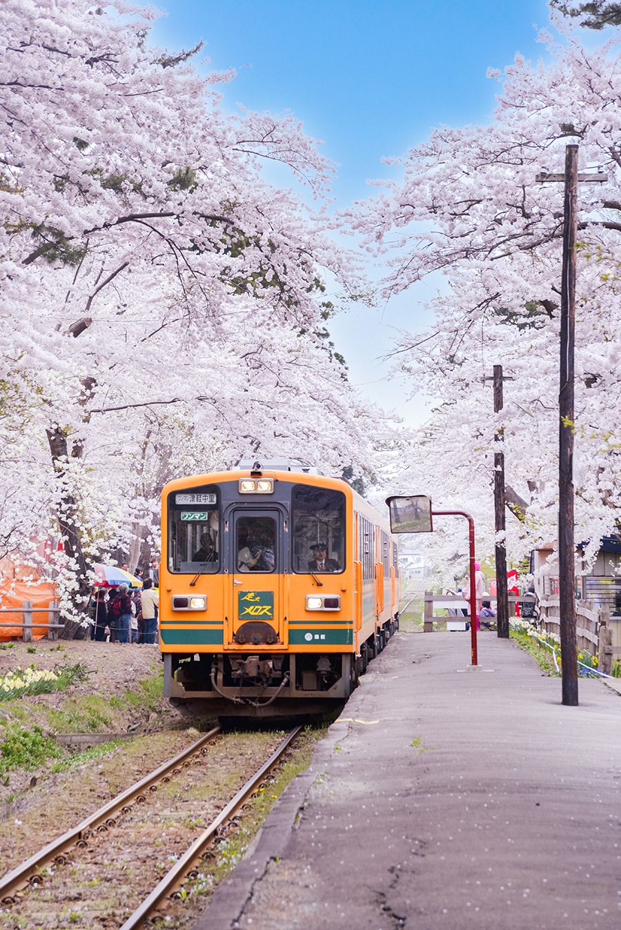 Ashino Park Aomori-must-see-spring-sightseeing-spots-Tohoku-Japan-2022-7