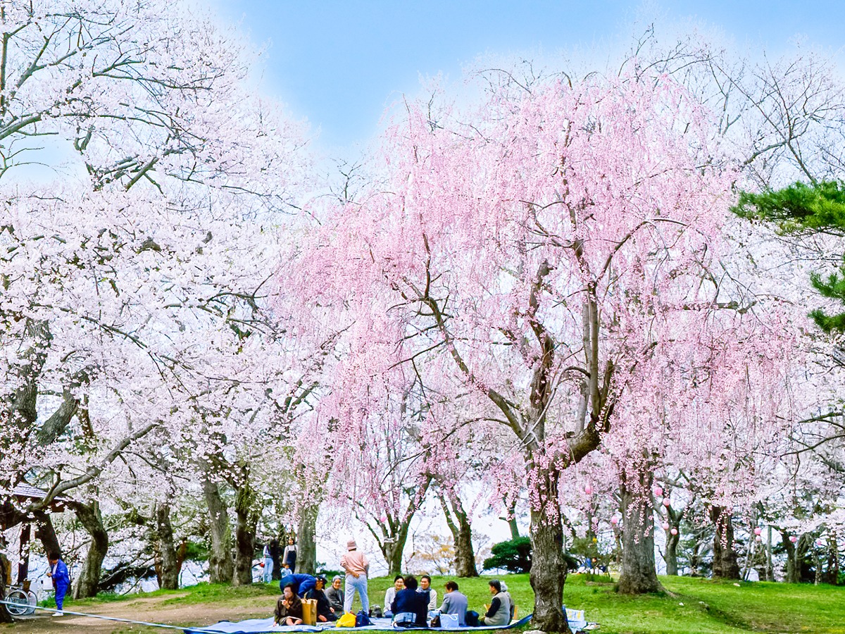 Shiogama-Jinja Shrine Miyagi-must-see-spring-sightseeing-spots-Tohoku-Japan-2022-5