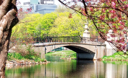 4-Day Spring Itinerary in Tohoku: 2023 Breathtaking Cherry Blossom Views
