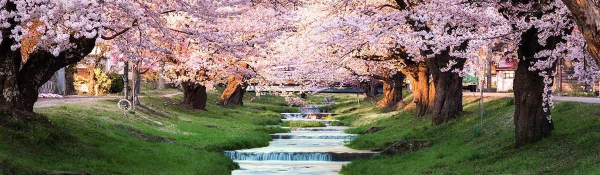 Must-Visit Spring Sightseeing Spots in Tohoku, Japan &#8211; Revised for 2023!