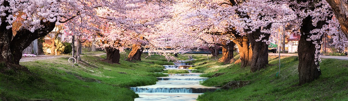 Must-Visit Spring Sightseeing Spots in Tohoku, Japan - Revised for 2023!