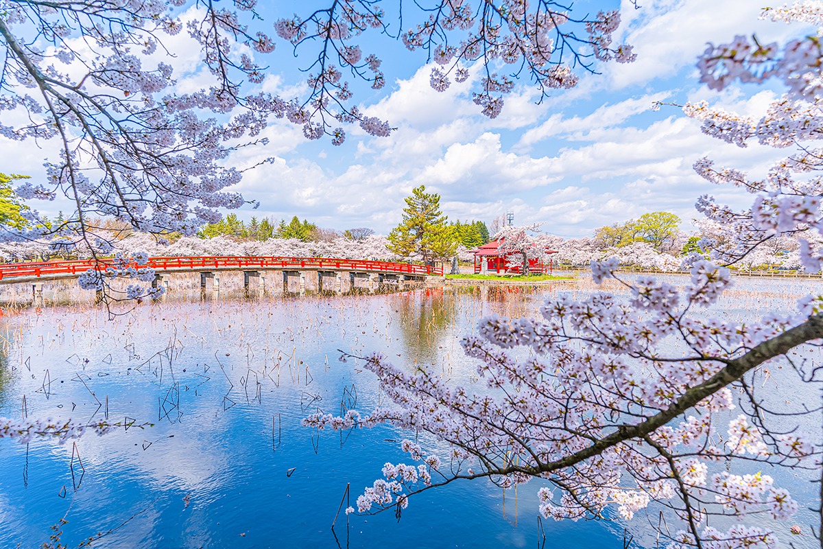 Saruka Park Aomori