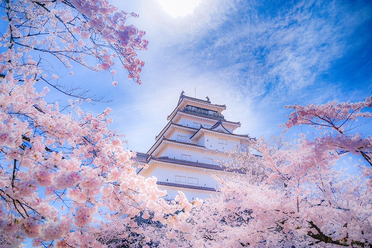 츠루가조 성 후쿠시마-봄에 꼭 가봐야 할 관광 명소-도호쿠-일본-2022-3