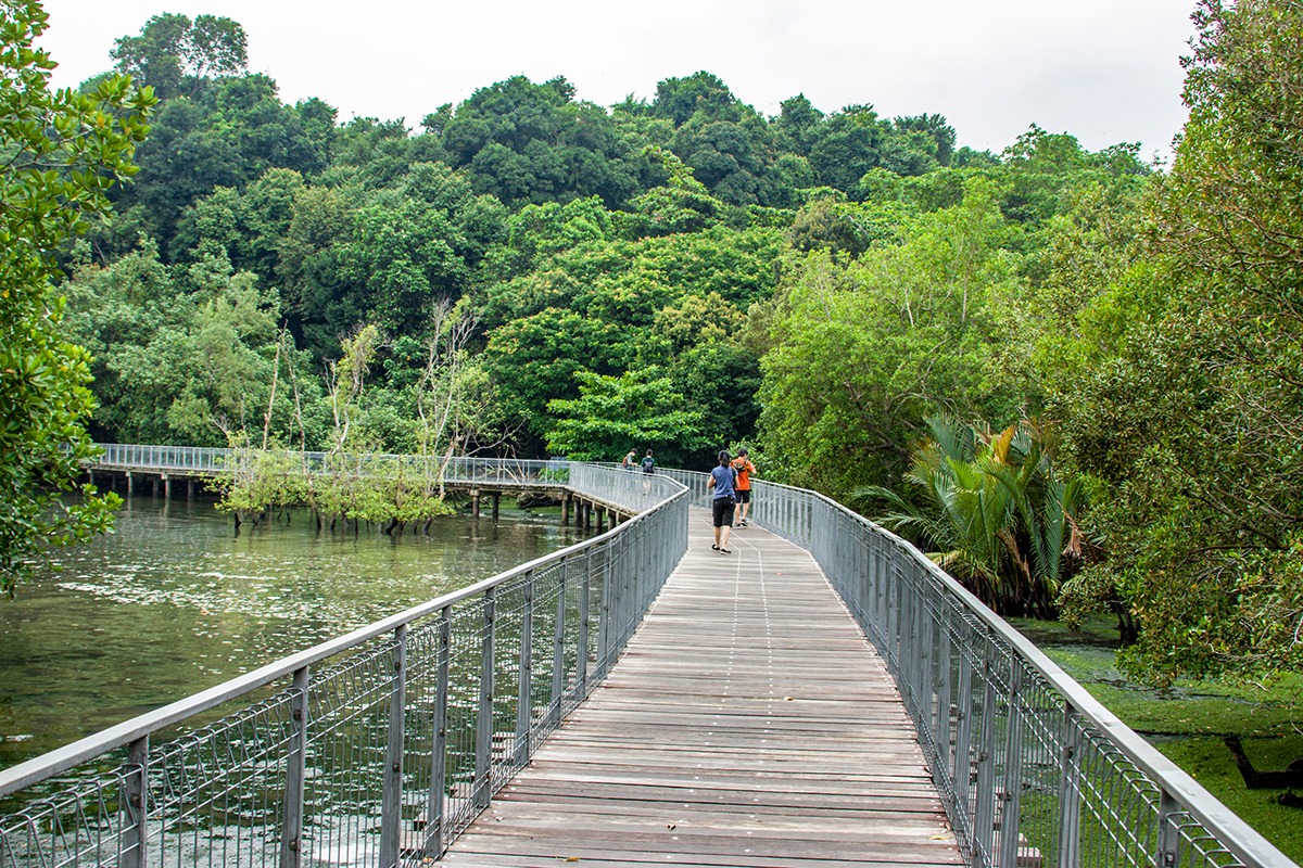 Chek-Jawa-Wetlands