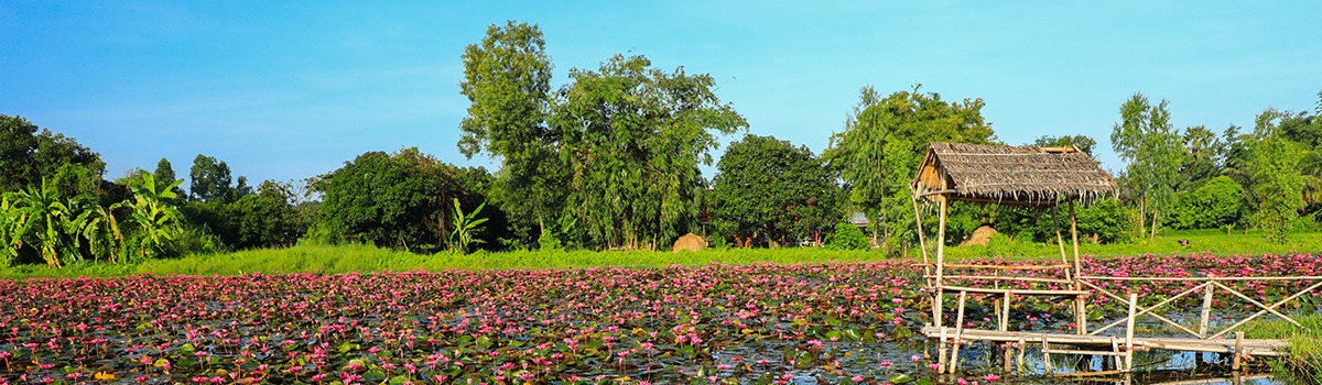 Things to Do in East Thailand &#8211; See Islands, Museums &#038; National Parks