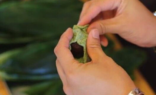 Local Niigata Food Experiences | 2 Can't-Miss Workshops & A Fish Market!